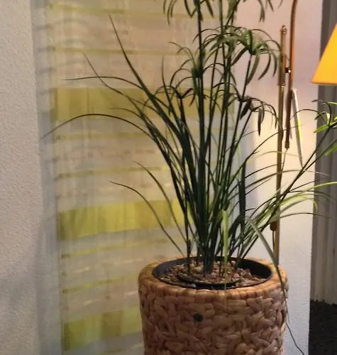 Cafe Konditorei Koeppel בינגן אם ריין